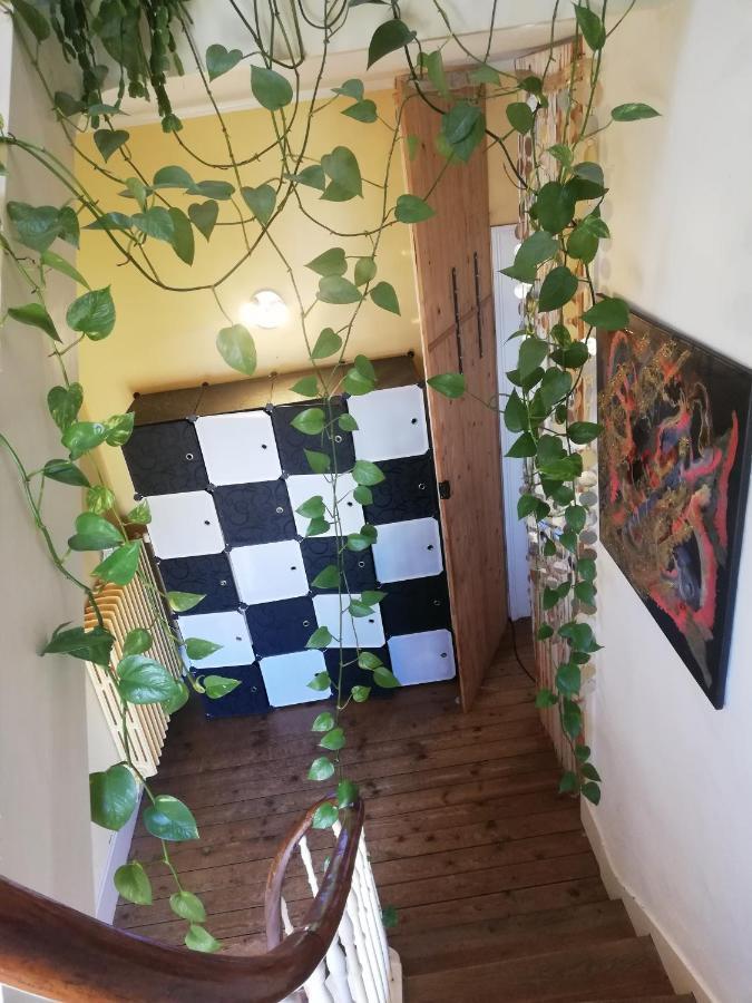 La Chambre D'Hote De Chris Cherbourg-en-Cotentin Luaran gambar